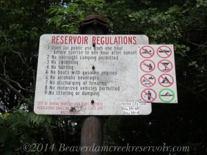 IMG_0167-3