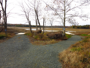 2014_Reservoir_Nov-1