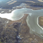 G0023497